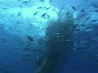 Планета Земля - Скріншот 2