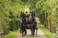 Подорож до центру Землі - Скріншот 4