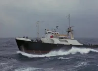 Скажені акули - Скріншот 3