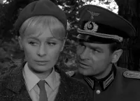 Ставка більша за життя - Скріншот 3