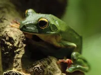 Сила життя - Скріншот 1