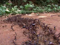 Сила життя - Скріншот 2