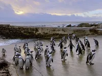 Узбережжя Африки - Скріншот 4