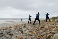 Вирощування - Скріншот 3