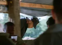 Земля-повітря - Скріншот 3