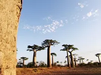 Земля: Сила планети - Скріншот 3