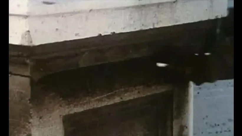 Фонове зображення Змова