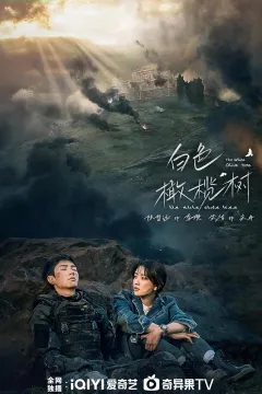 Біле оливкове дерево