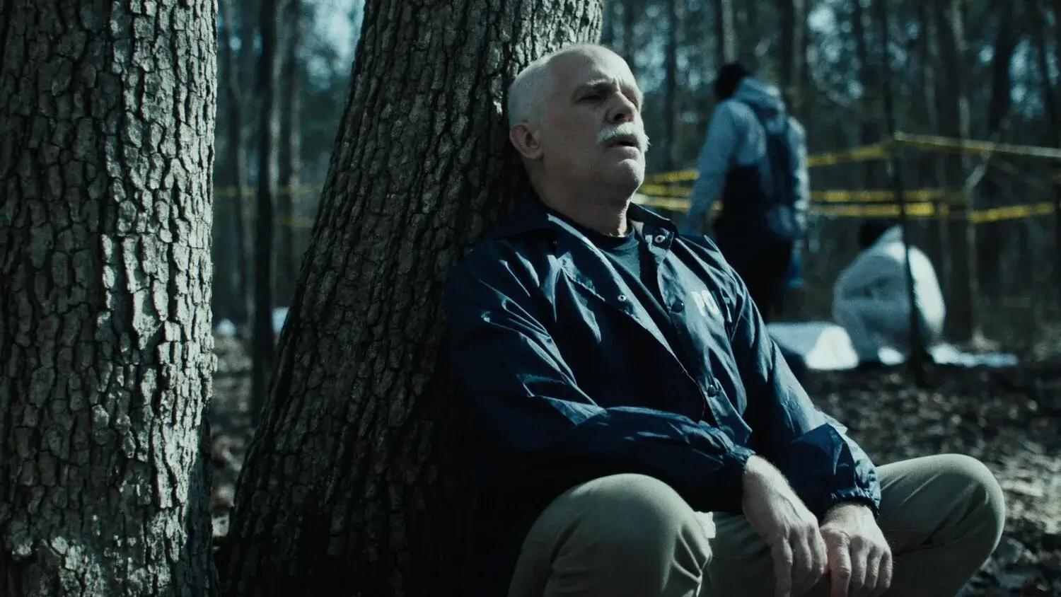 Фонове зображення Хамелеон