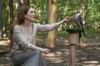 Сирени - Скріншот 4