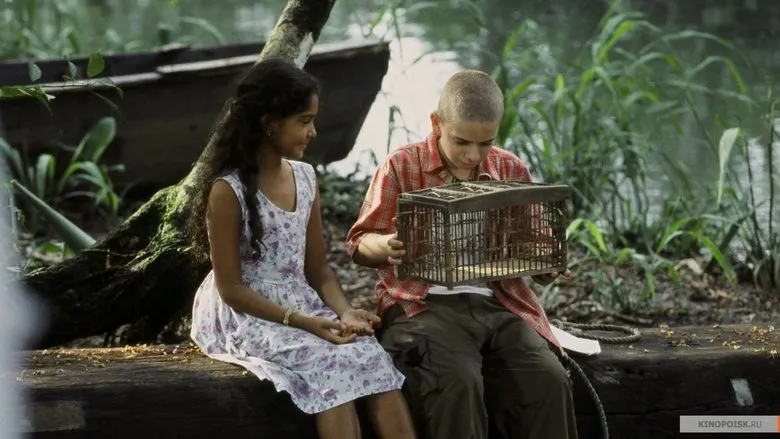 Фонове зображення Блакитний метелик