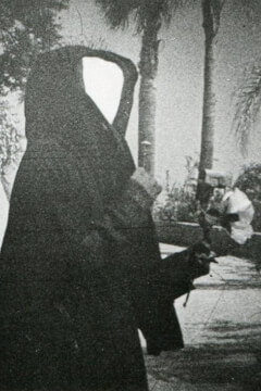 Полуденні мережі