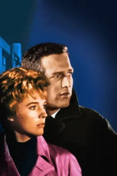 Розірвана завіса