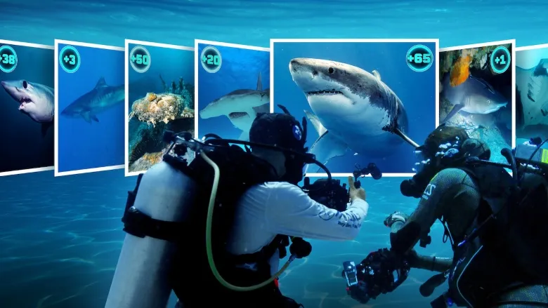 Фонове зображення Усі акули світу