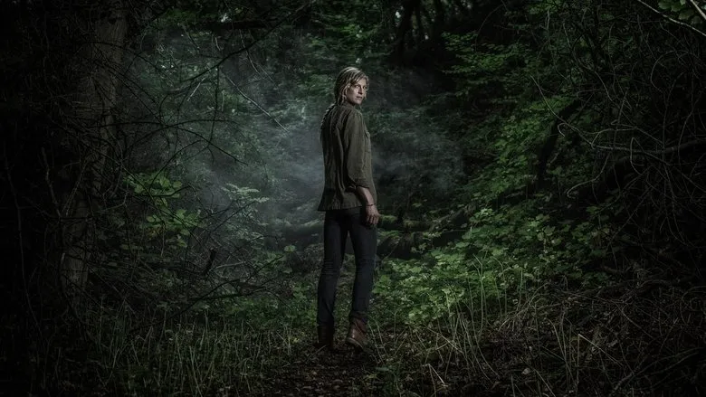 Фонове зображення Ліс