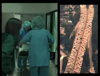 10,5 балів - Скріншот 4