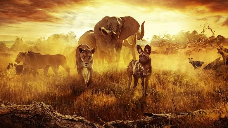 Фонове зображення Як вижити в раю: Історія родини