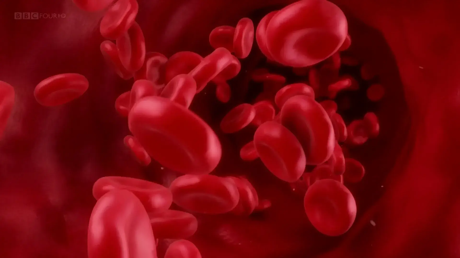 Фантастичний світ гормонів з доктором Джоном Уоссом