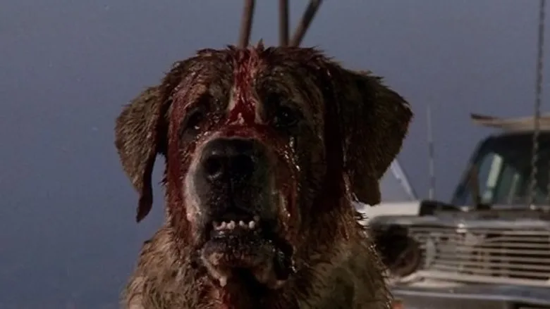 Фонове зображення Куджо