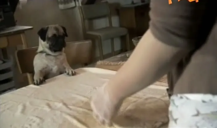 Фонове зображення Моллі і Мопс