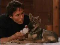 Лавина - Скріншот 2