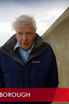 Ми можемо врятувати планету Земля?