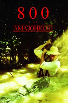 Вісімсот льє вниз Амазонкою 