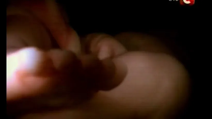 Фонове зображення В утробі матері / Двійня,Трійня