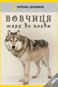 Вовчиця - шлях до влади